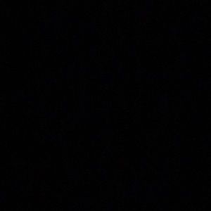 Meet your Posher, Raven